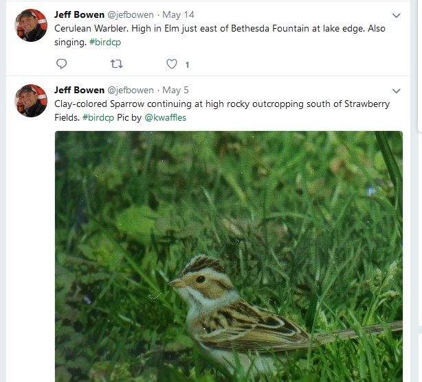 twitter.com/jefbowen